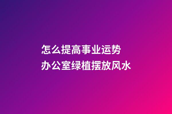 怎么提高事业运势 办公室绿植摆放风水